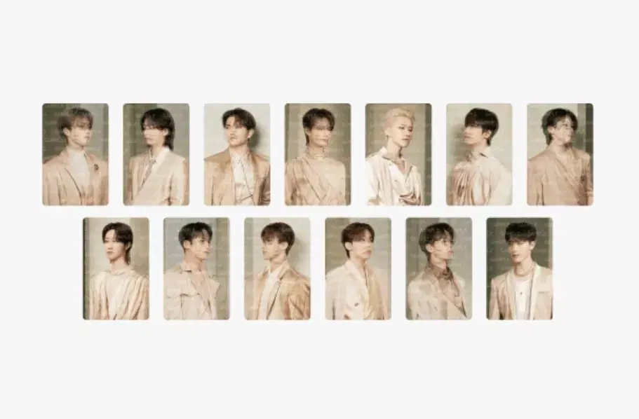 Seventeen worldtour Cat Lancular photocard Set