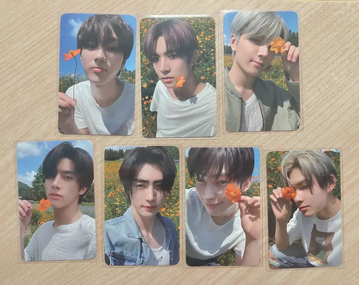 Enhypen Orange Blood Encounter Night photocard WTS