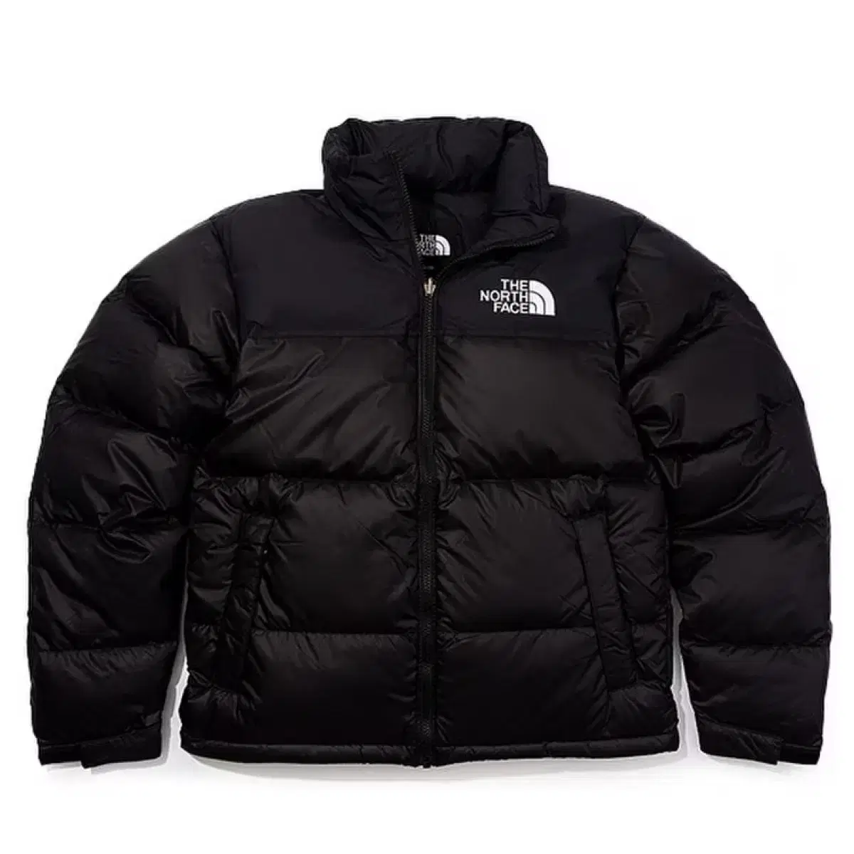 The North Face Fei XL