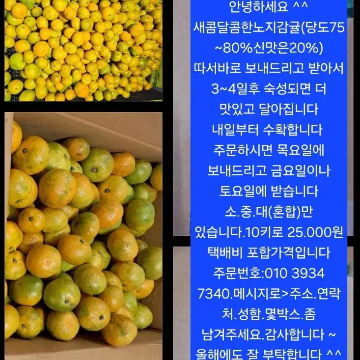 제주도 노지감귤.10kg.25000원 택포 입니다