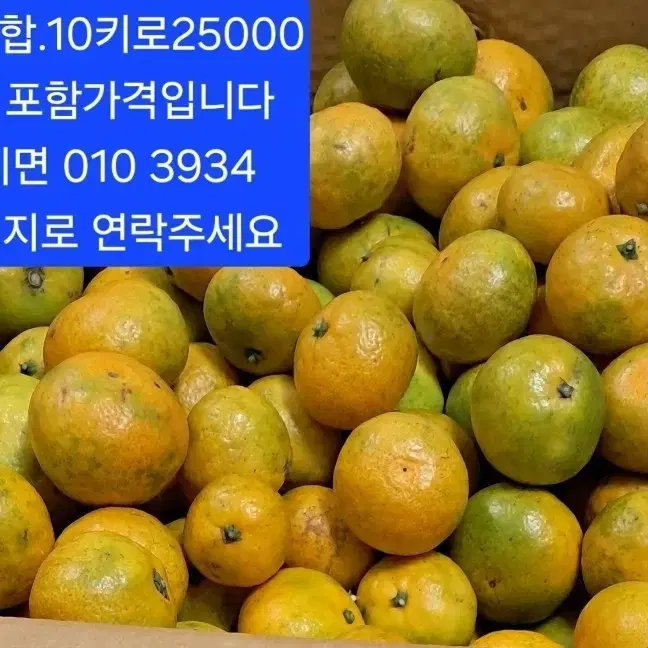 제주도 노지감귤.10kg.25000원 택포 입니다