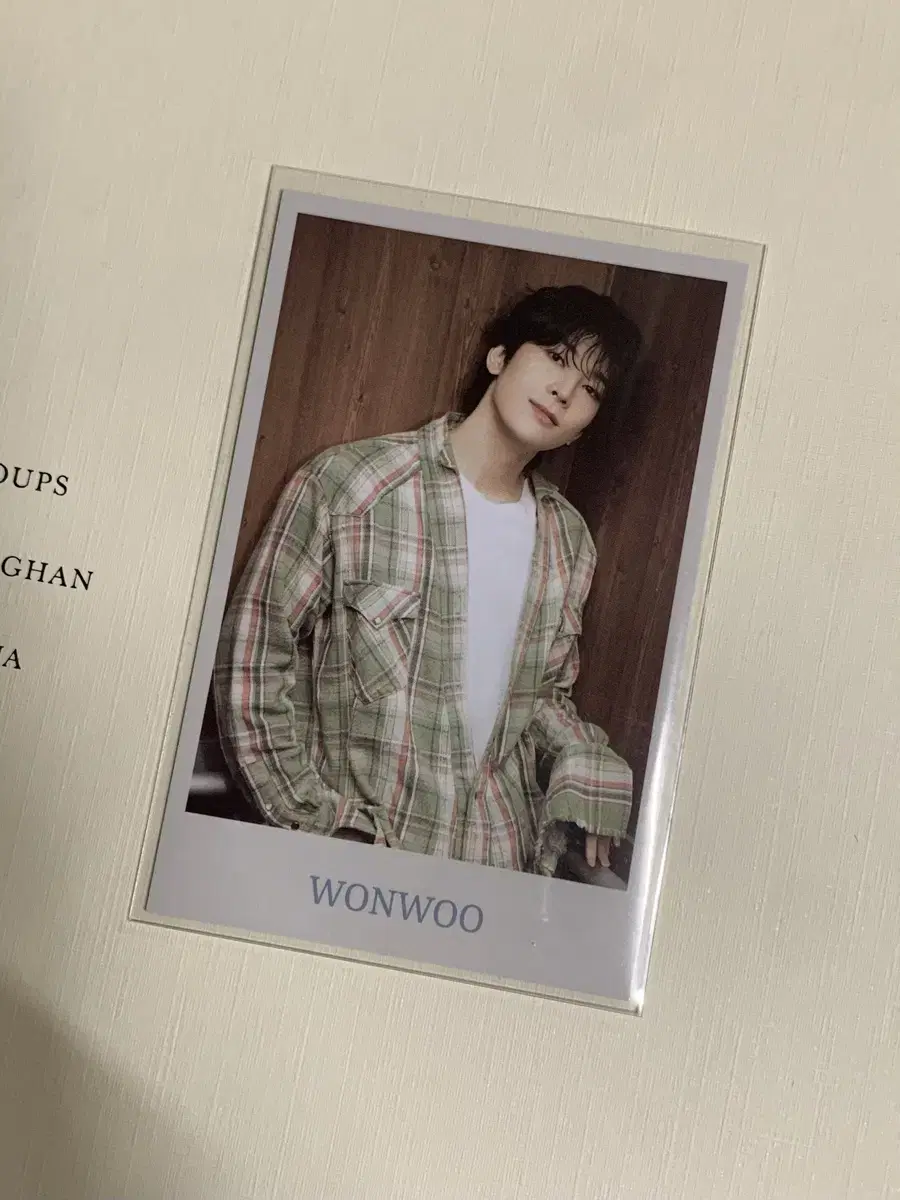 Seventeen wonwoo 2024 Carran MD Instant photocard WTS