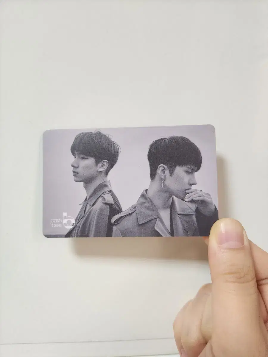 Vix Transportation Card Hyuk & Ken