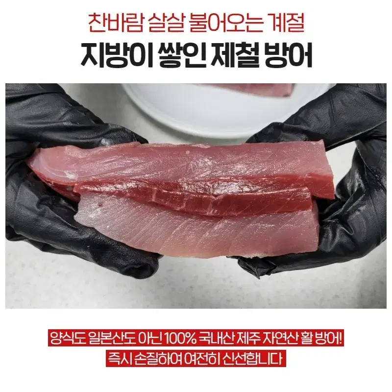 제주자연산방어