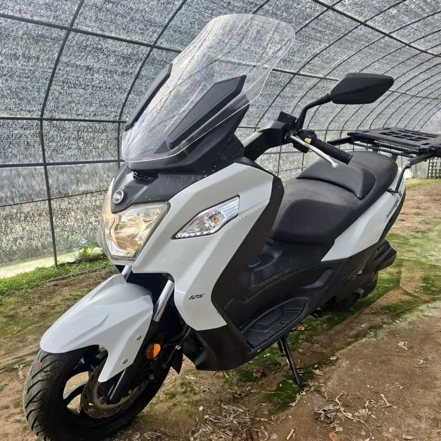 SYM 조이맥스 Z 125 2019년식