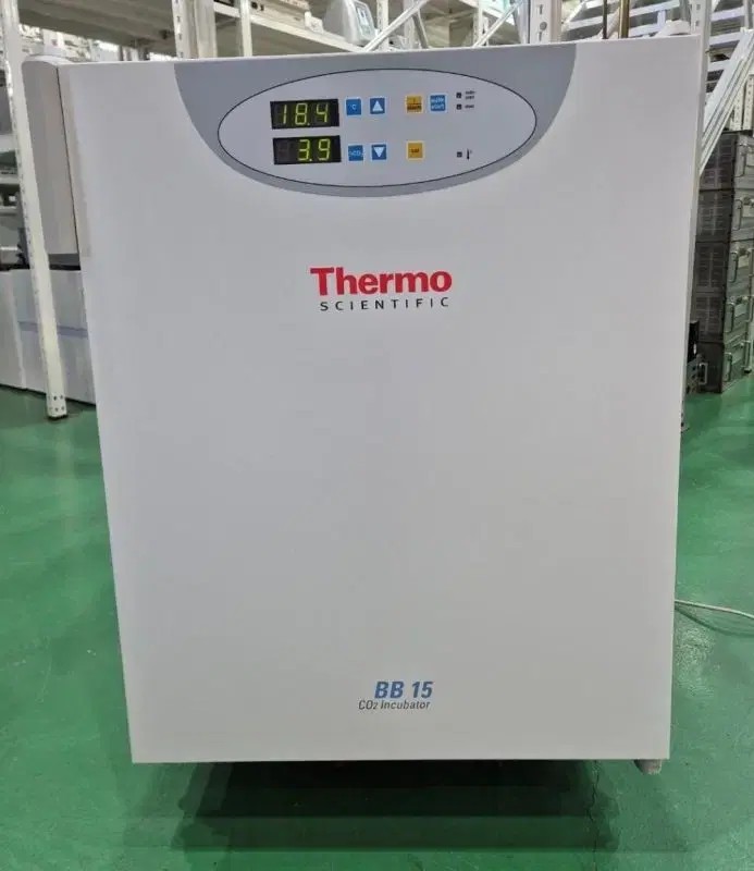 Thermo BB15 CO2 Incubator 인큐베이터