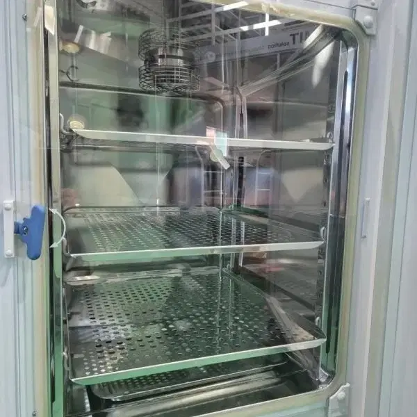 Thermo BB15 CO2 Incubator 인큐베이터