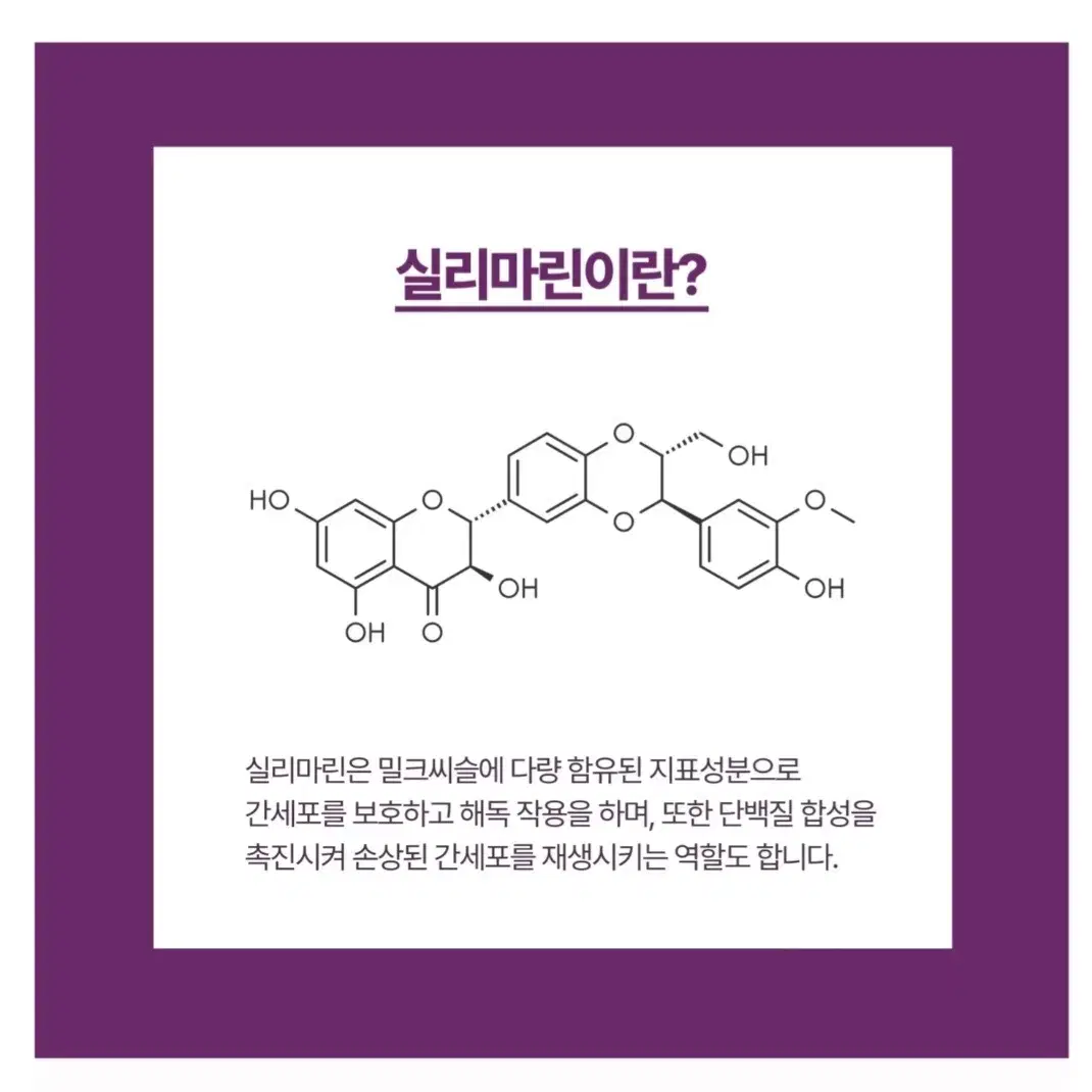 특허수용화기술 밀크씨슬