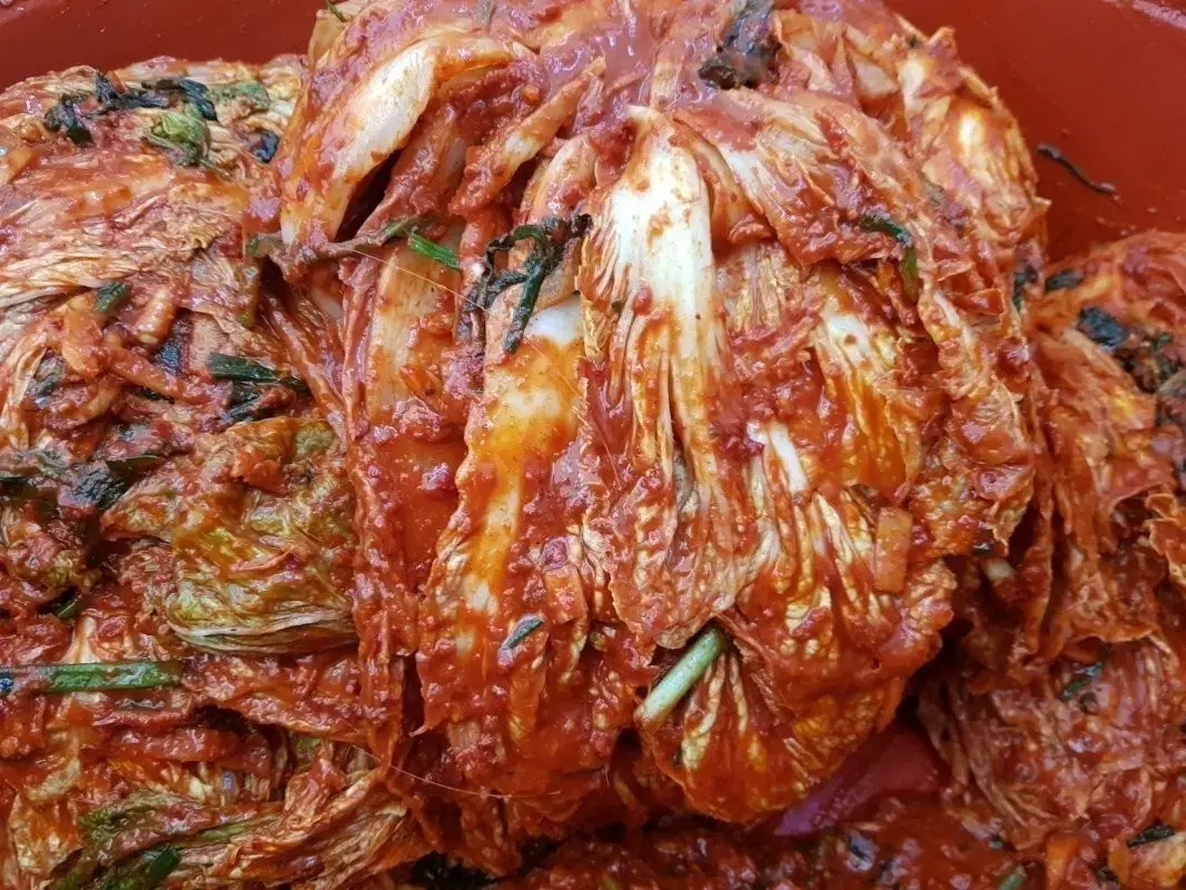 전라남도 갈치김장김치10kg