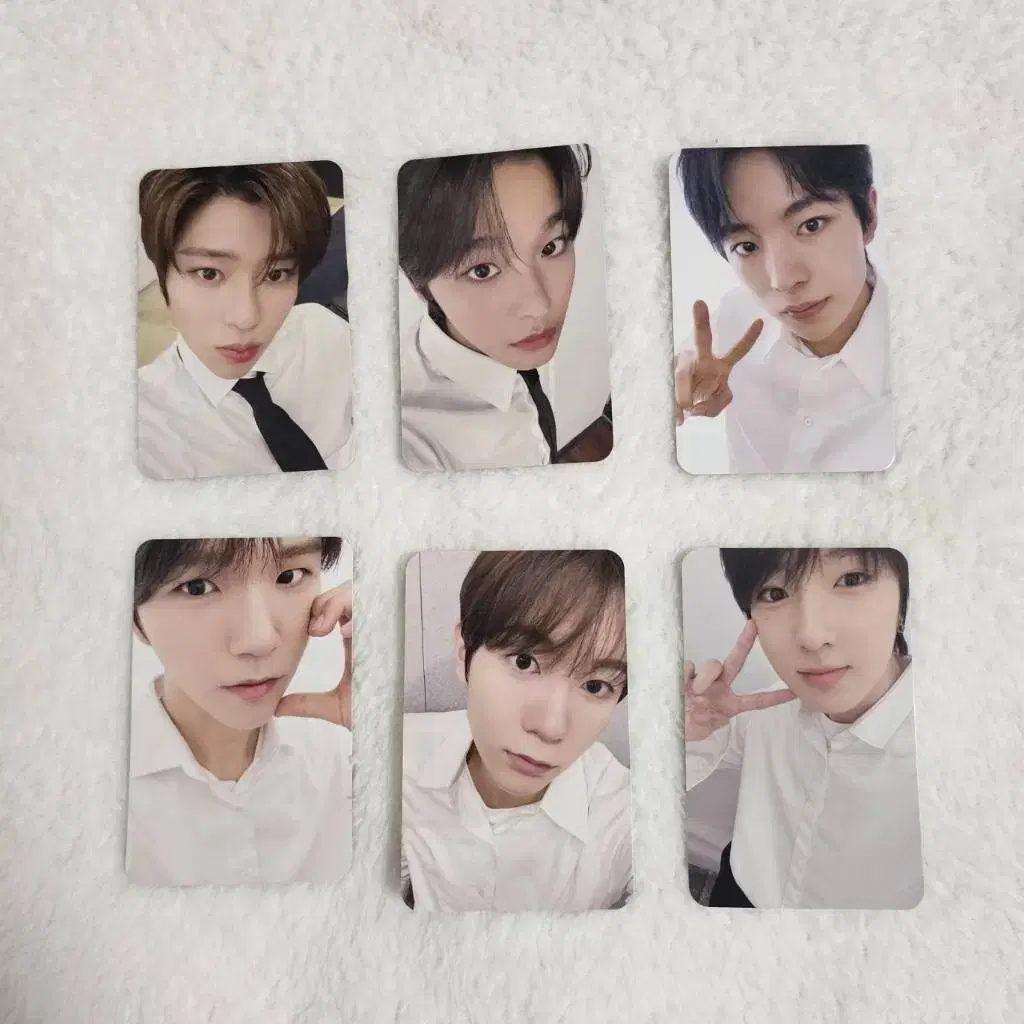 NCTWISH nctwish mumoshop photocard