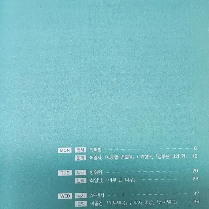 25<국어> 시대인재 주간지 <엑셀레이터>10,16,17,18,23,24