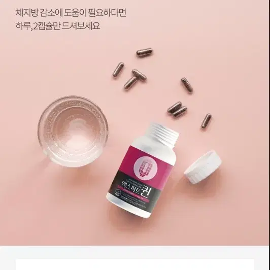 엑스퍼트퀸 다이어트 1+1