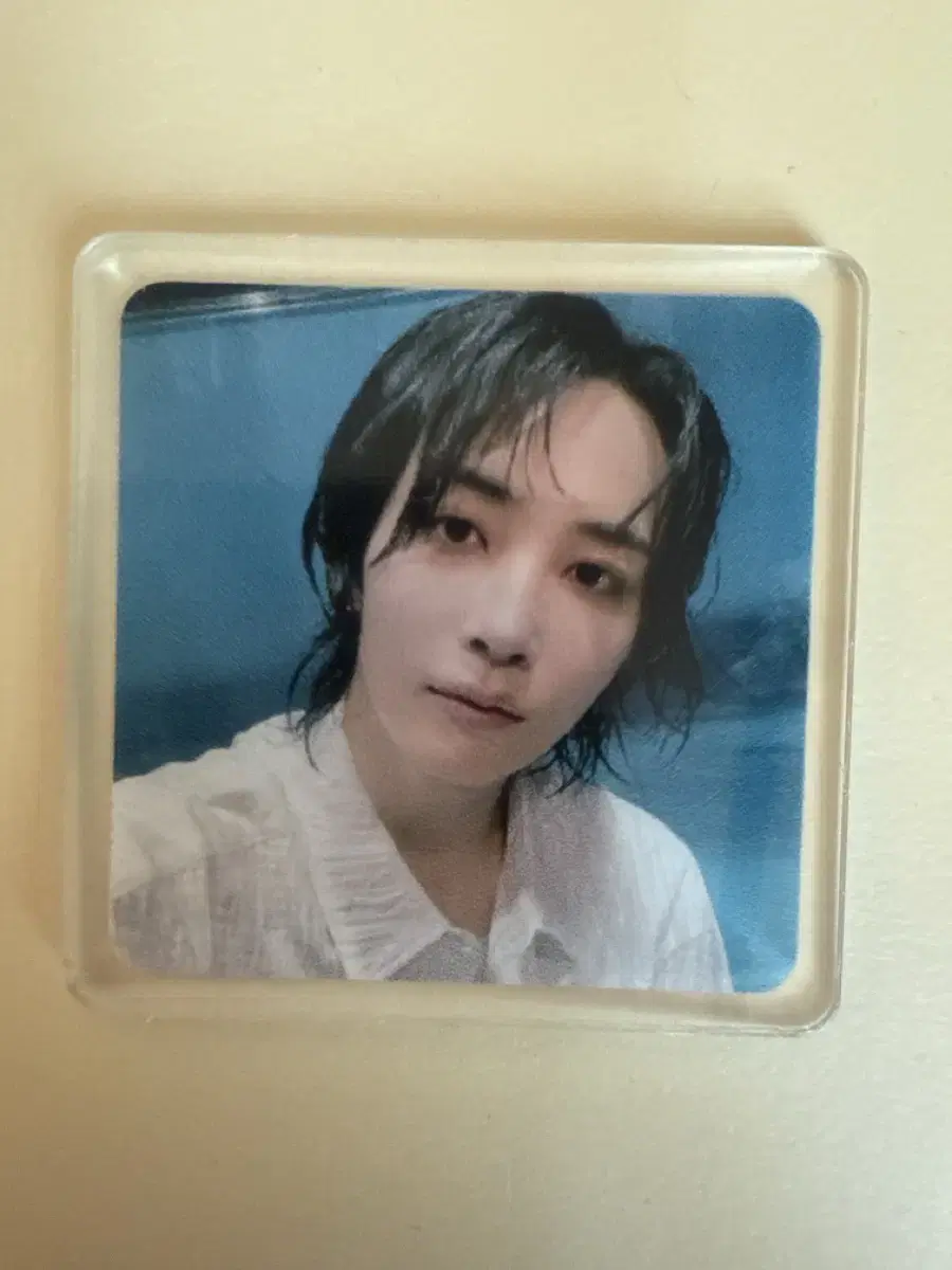 Seventeen jeonghan magnets