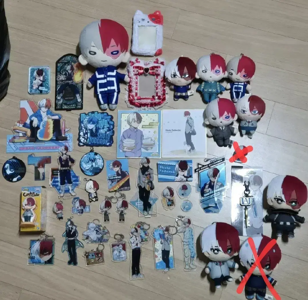 Hiroaka Todoroki disposes of a large number of Shoto goods