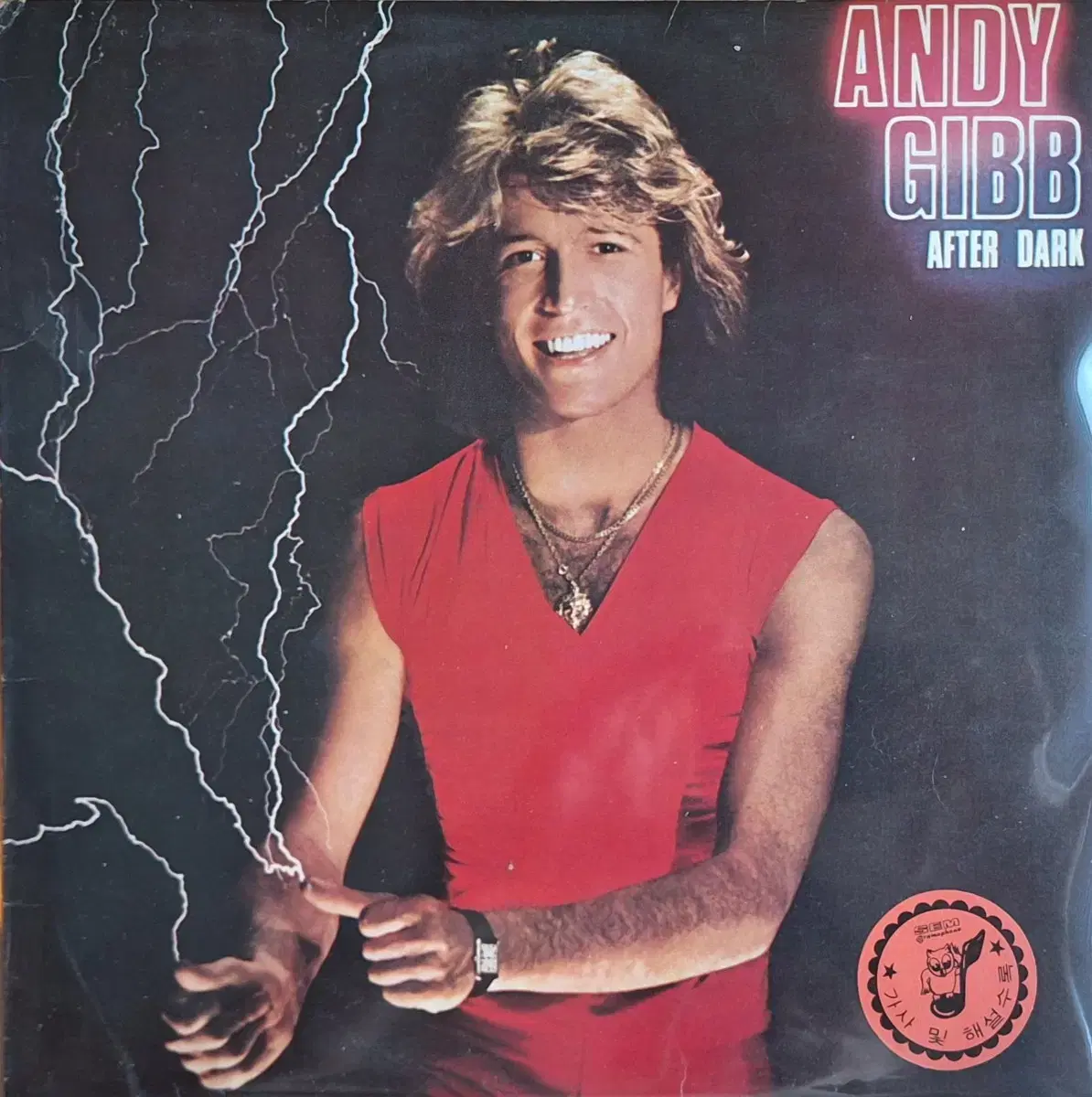 국내라이센스반/Andy Gibb - After Dark LP