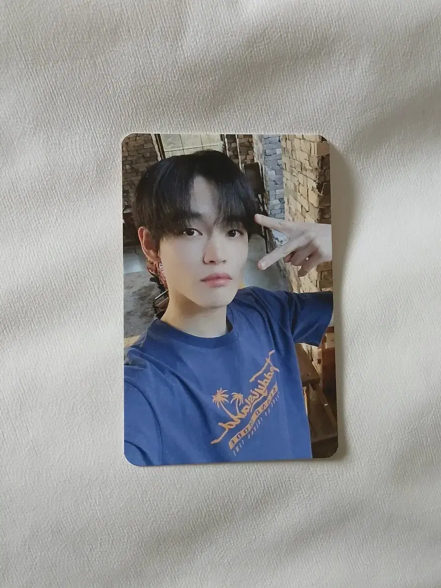 Teddy Island chenle photocard wts