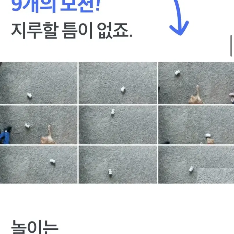 반려동물 노즈워크 로봇 바램펫