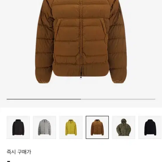 Cp컴퍼니 패딩 에코 크롬r 고글 22fw