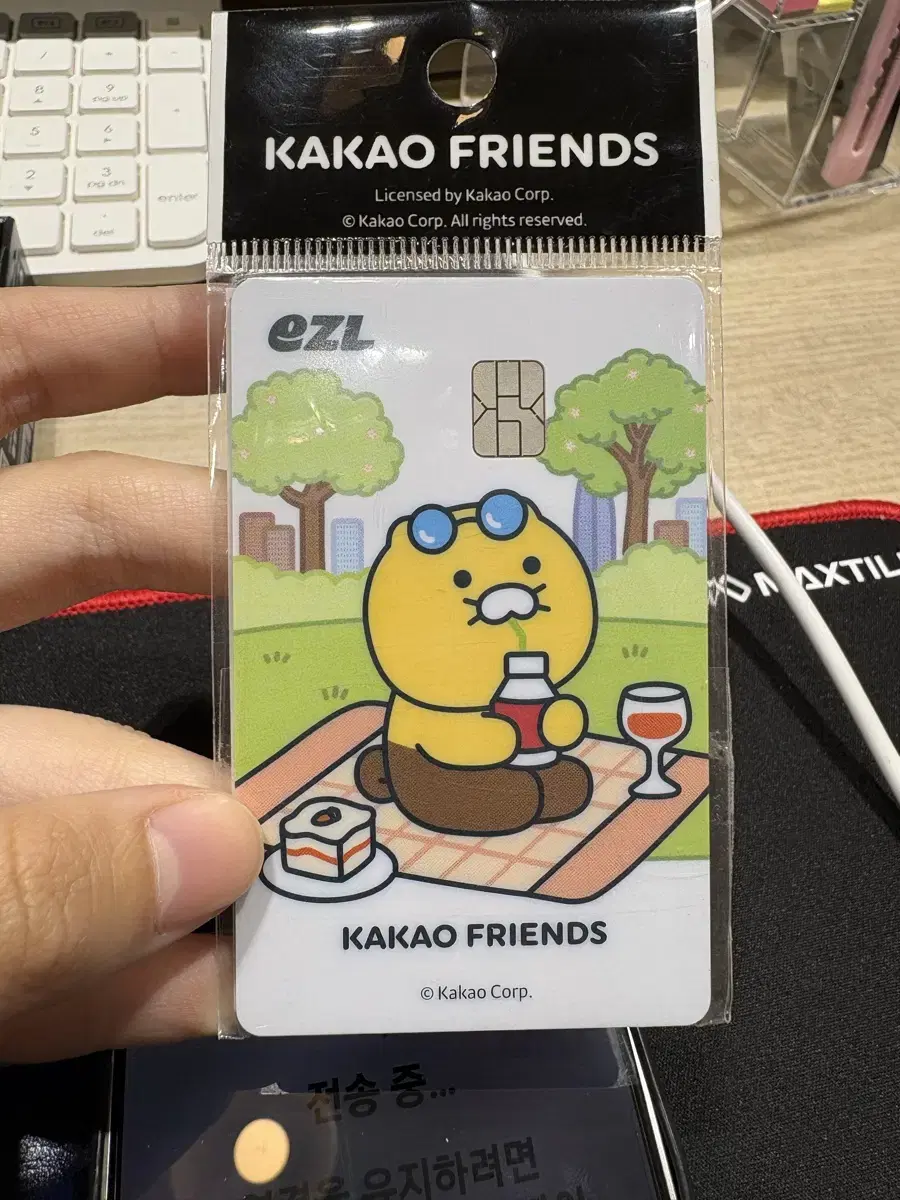 Kakao Friends Isle Card