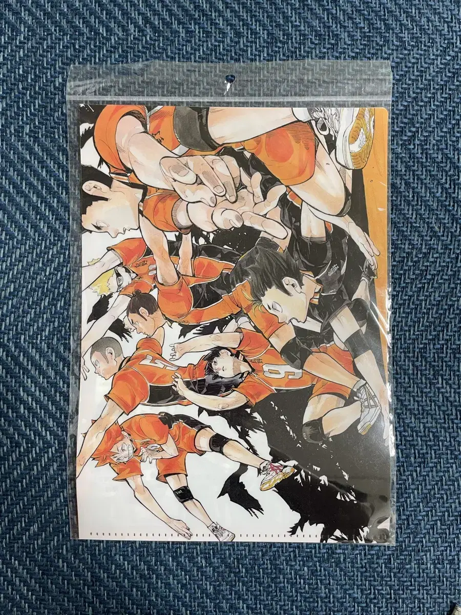 Haikyuu Karasuno Original L-holder