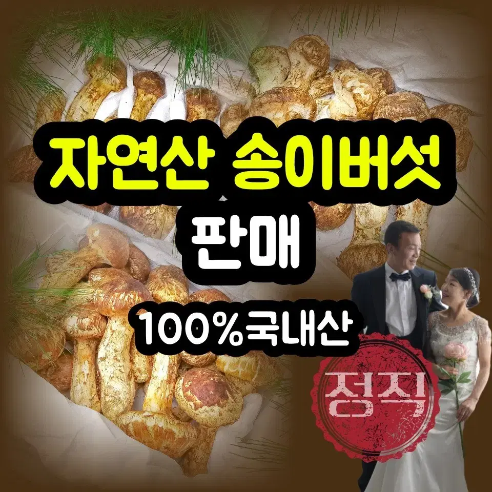 국내산 자연산 송이버섯 1kg 500g