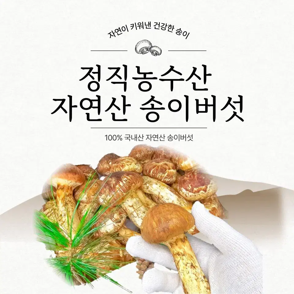 국내산 자연산 송이버섯 1kg 500g