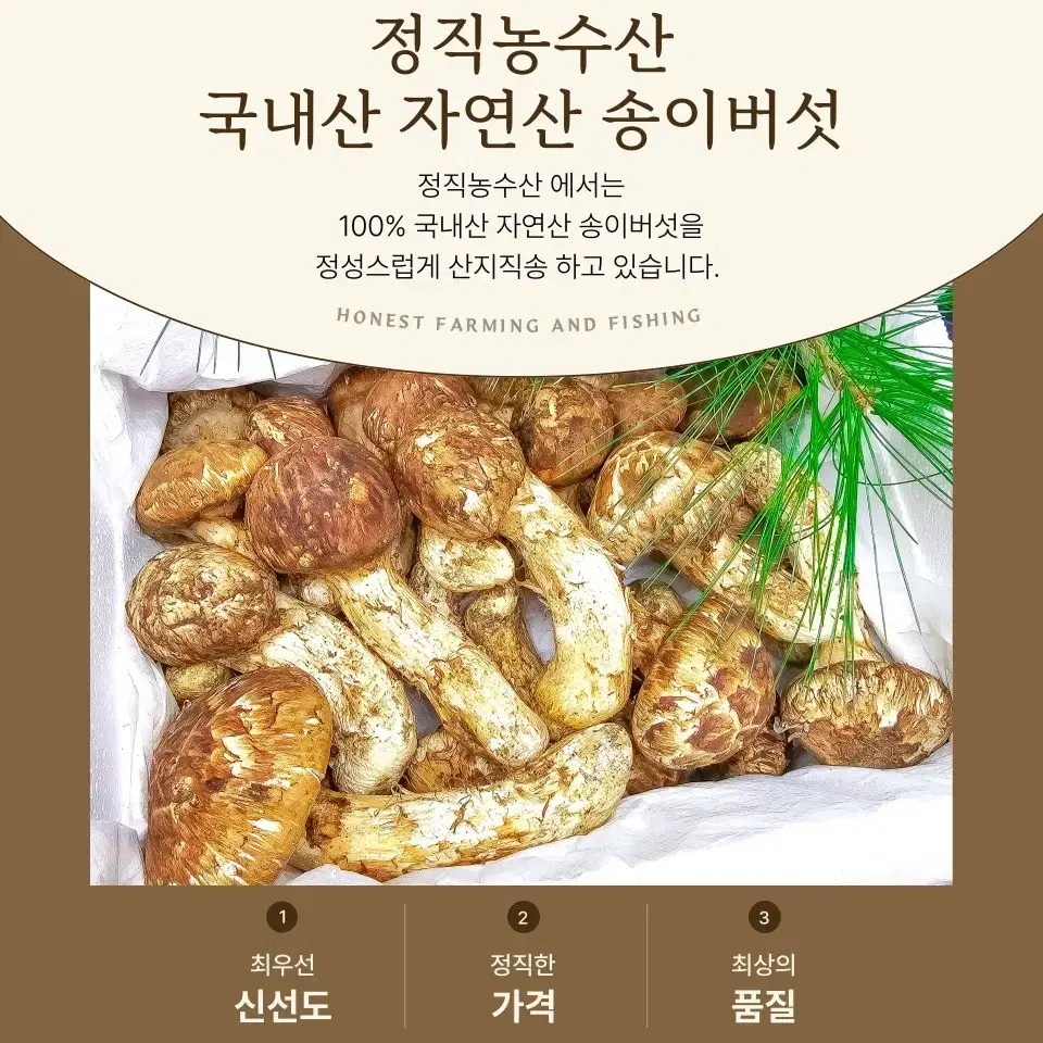 국내산 자연산 송이버섯 1kg 500g