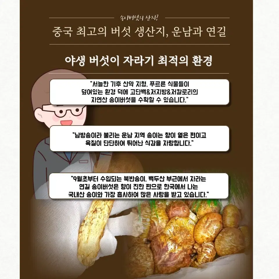 자연산 송이버섯 수입산 1kg 500g