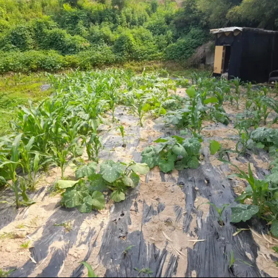 부산 기장군 장안읍 2억 6천 (토지매매)