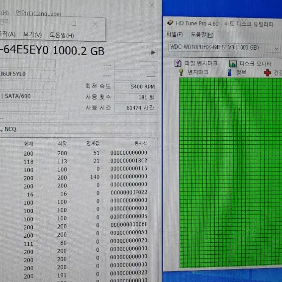 윈디 퍼플 1TB 3.5인치 HDD