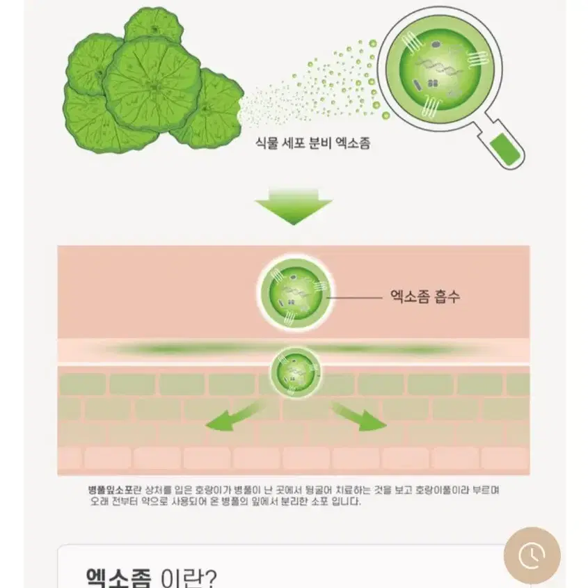 피부과전용 유쏘랩 모이스처라이징 히알루론 마스크팩