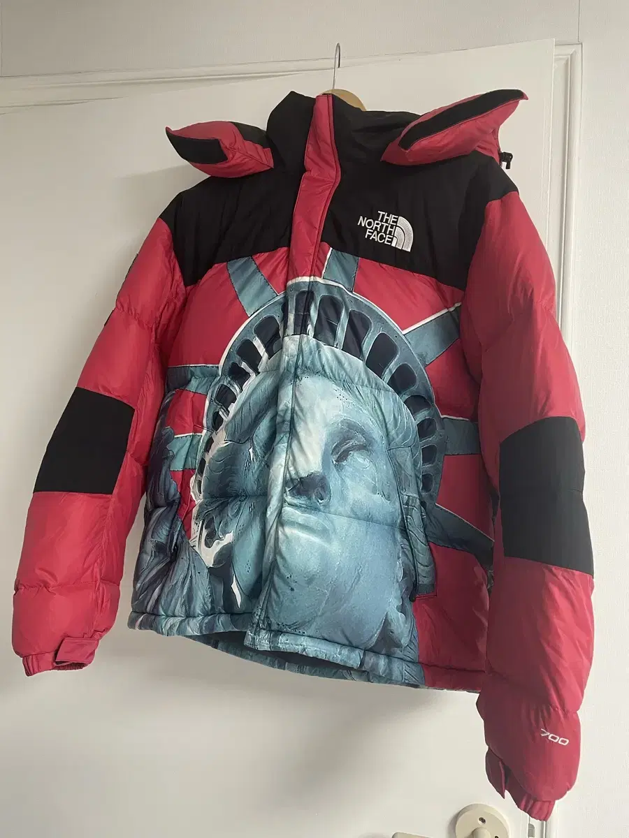 Supreme The North Face Statue of Liberty Baltoro Padded