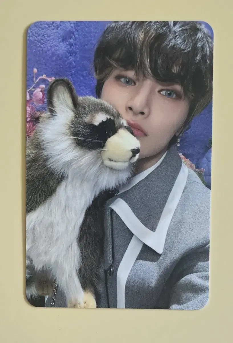 Straykids skz i.n Magic School Photocard