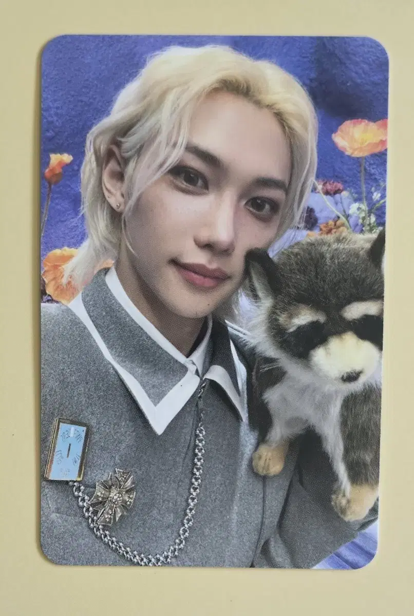 Straykids skz felix Magic School Photocard