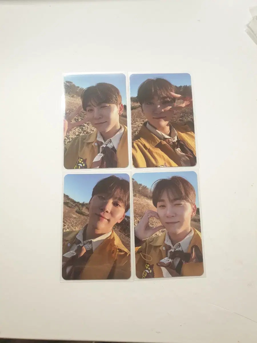 Seventeen FeatherSun seungkwan photocard wts does