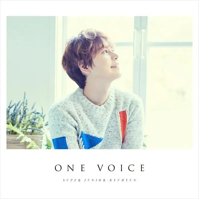 Super Junior kyuhyun Japan Album