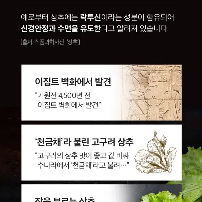 [새상품] 정가4.5 삼진제약 하루드림 릴렉스티(숙면도움 상추추출물)