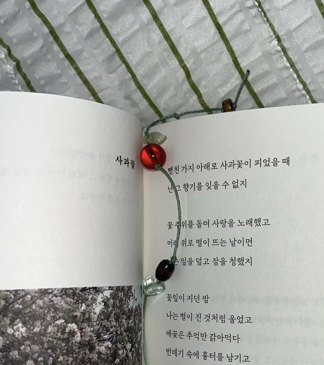 사과 끈갈피