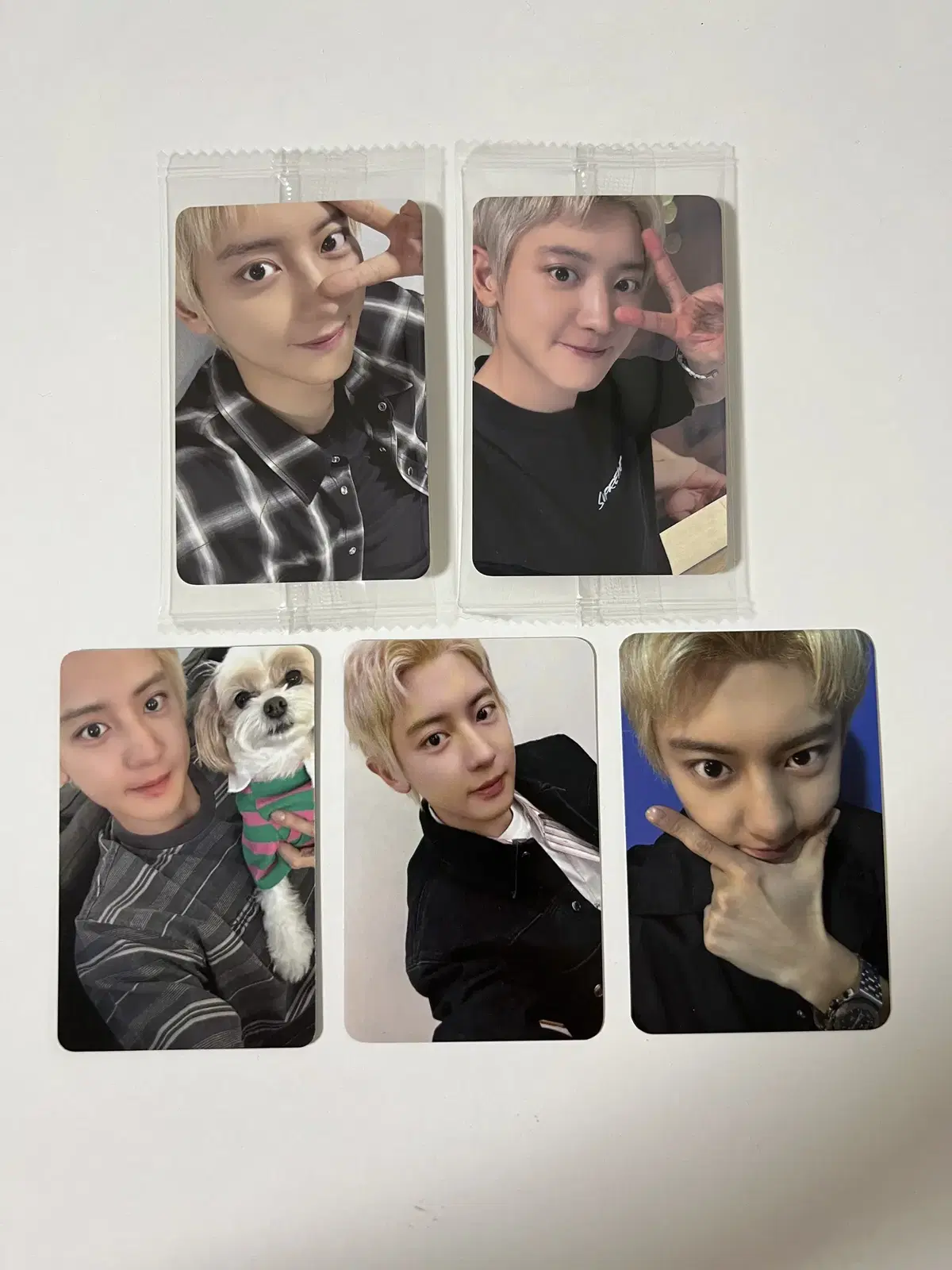 Exo chanyeol Black Out Pansa pre-order benefit photocard unreleased photocard Set