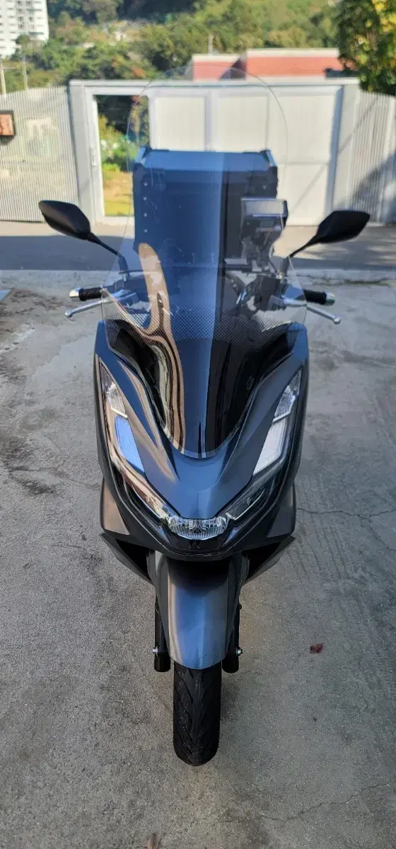 PCX125 (ABS)