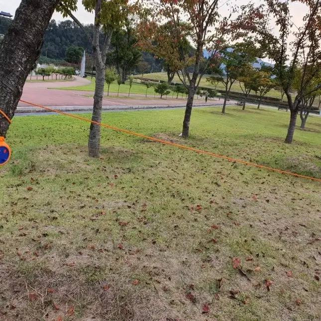 캠핑 이동식 간편설치 빨랫줄