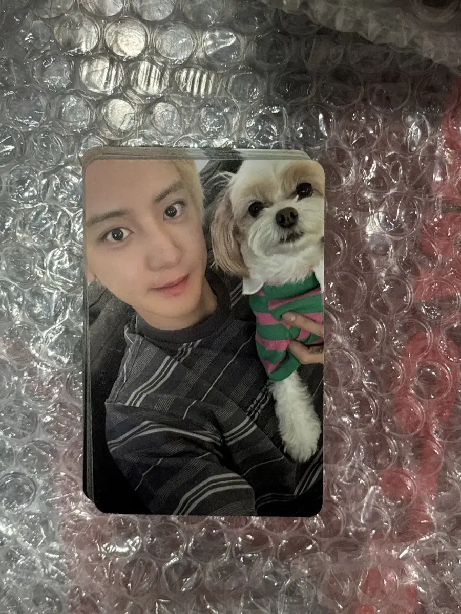 chanyeol apple music pansa unreleased photocard wts