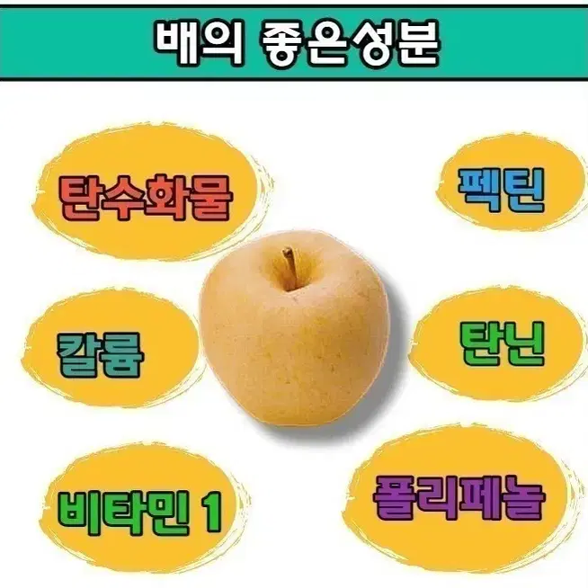 도라지배즙