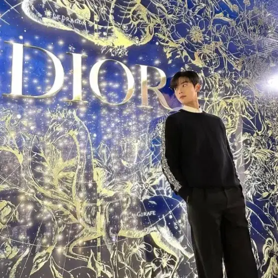 [Dior 차은우 착장] 디올 오블리크 인서트 스웨터