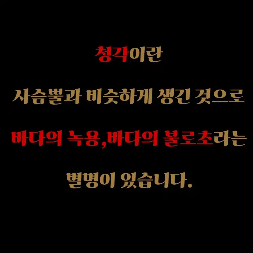 완도금일 말린청각 마른청각 햇청각 김장김치