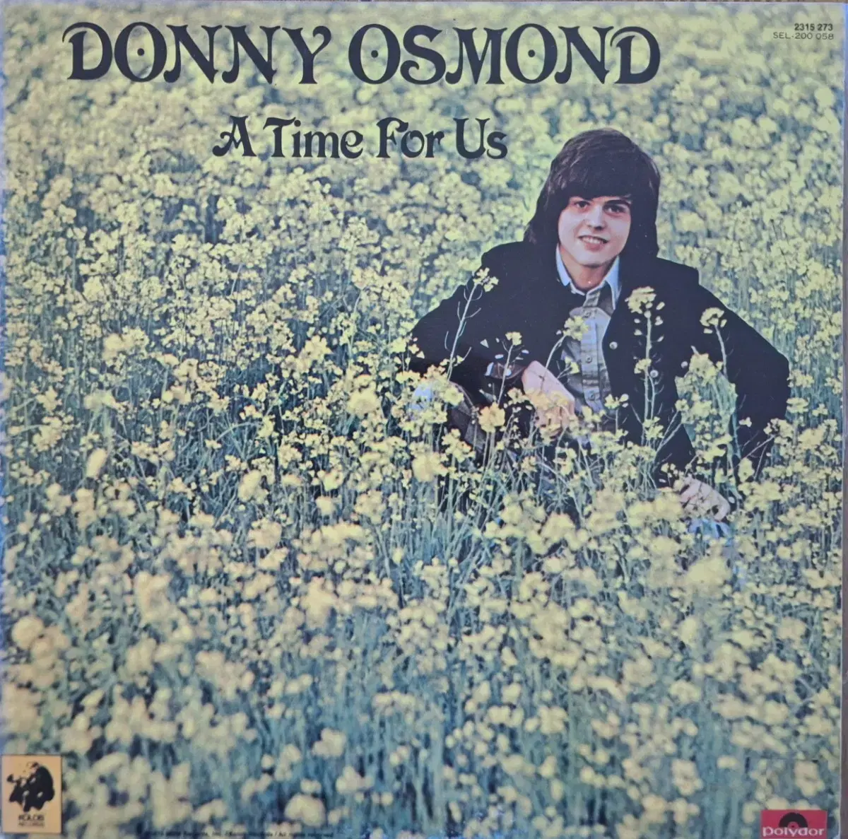 국내라이센스반/Donny Osmond - A time for us LP