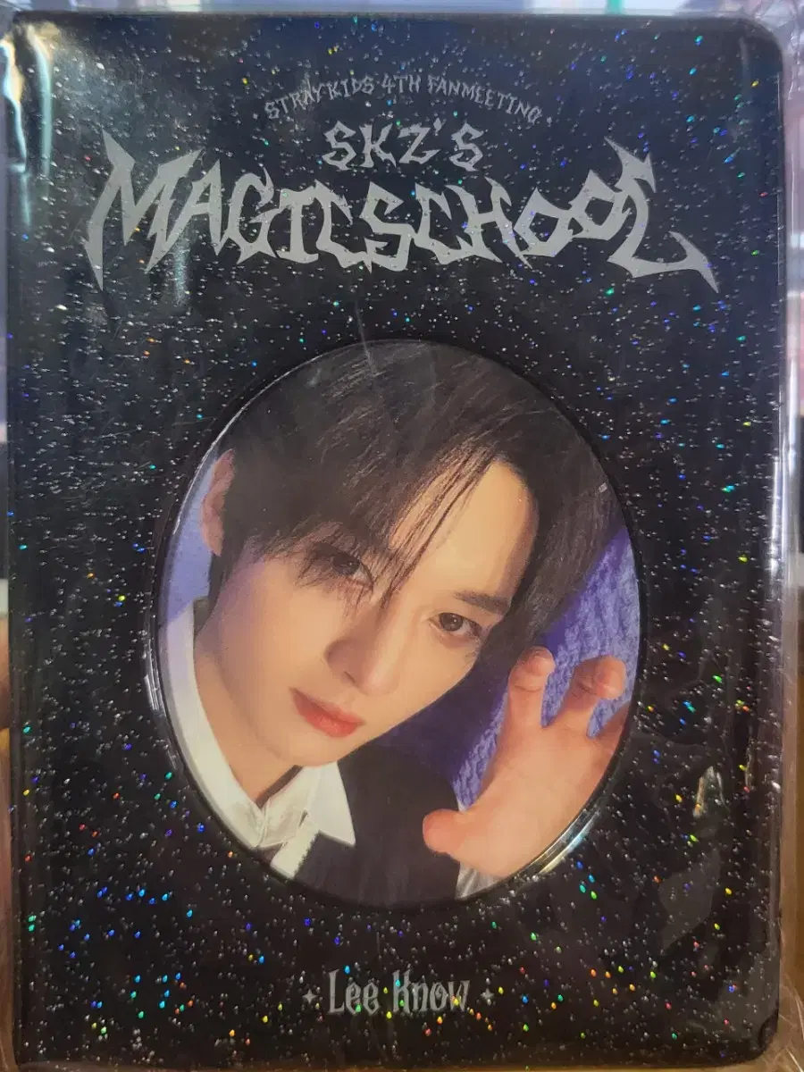 [unsealed/below cost]lee know collect book /skz straykids photocard skzoo rivet