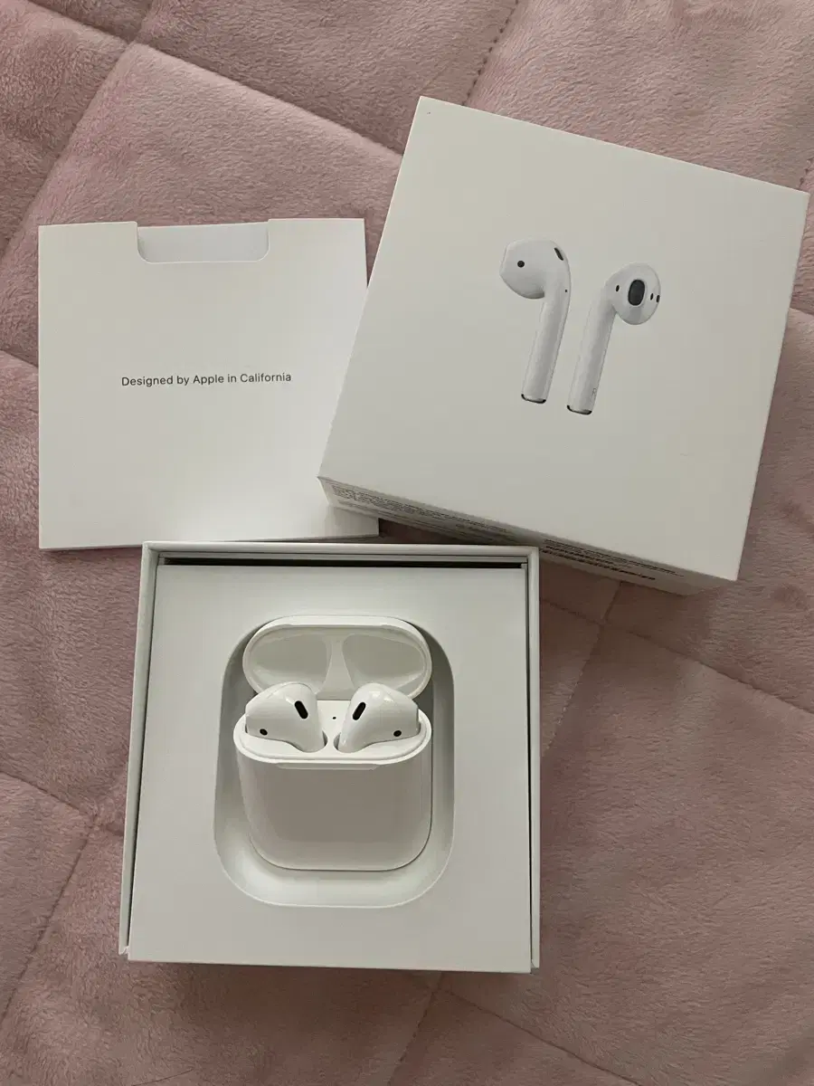 AirPods 2 (Line Friends Sally Case Bonus!)