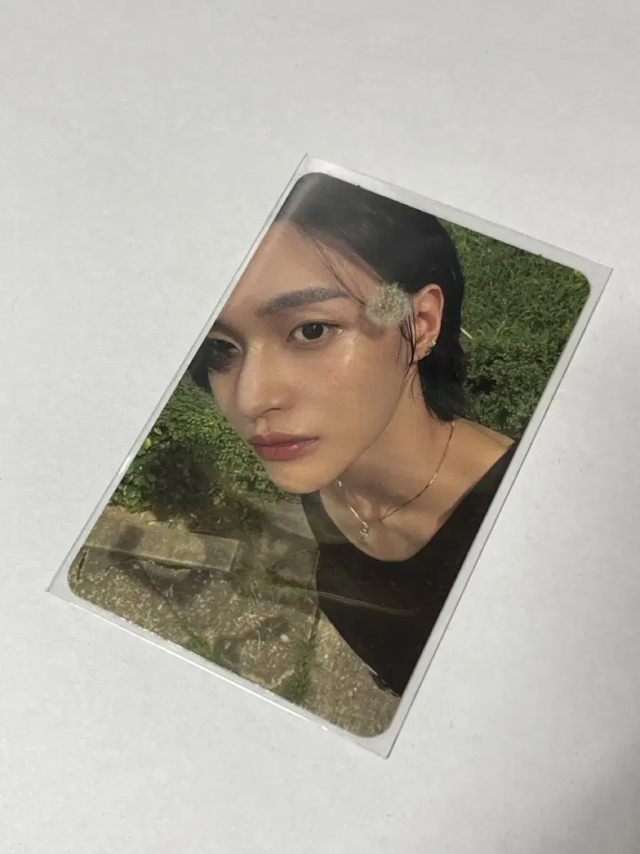 Dandelion wonbin Epilogue photocard WTS