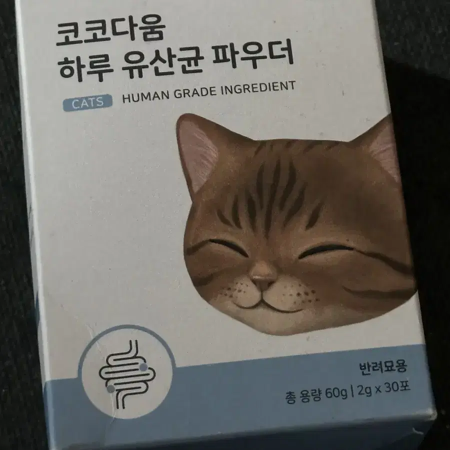 코코다움 하루 유산균 파우더 - 고양이